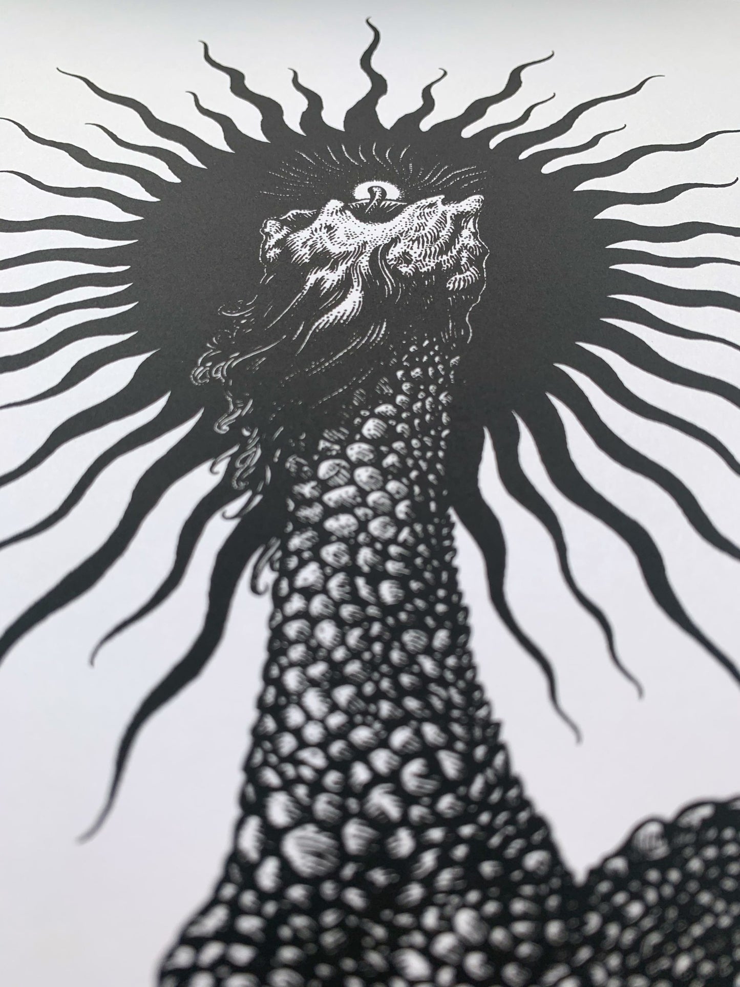Predatory Glow B&W image 2