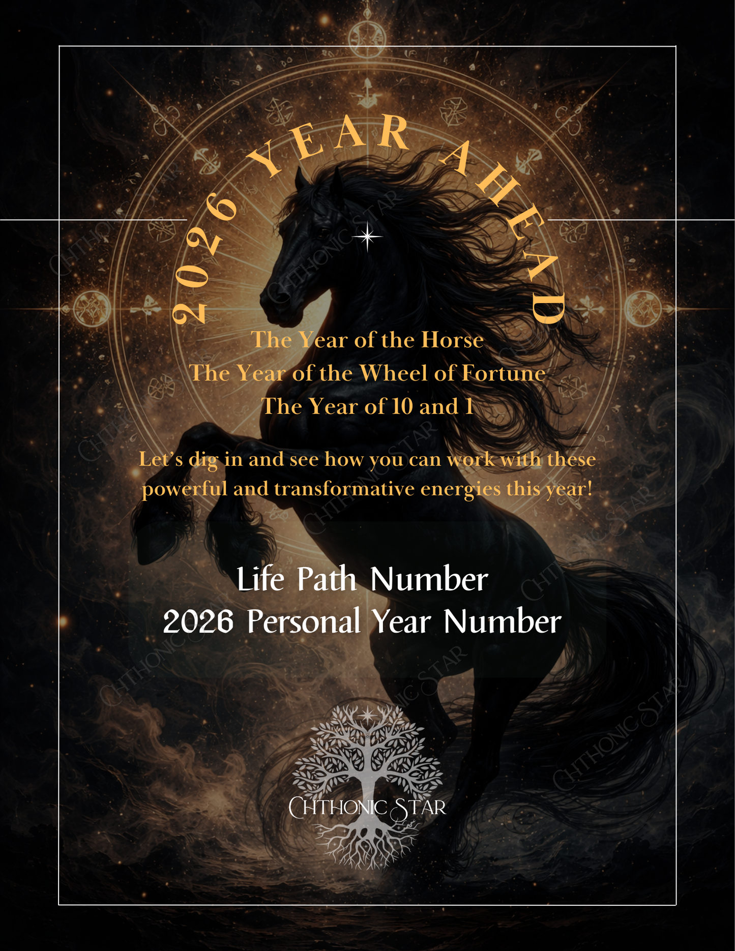 2026 Numerology Report