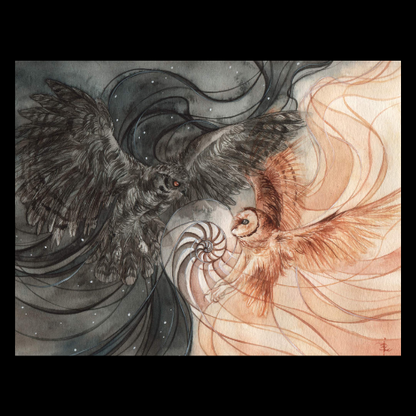 Night and Day image 0