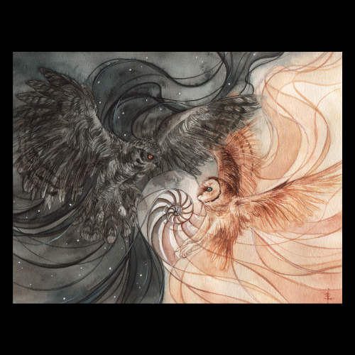 Night and Day image 0