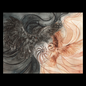 Night and Day image 0