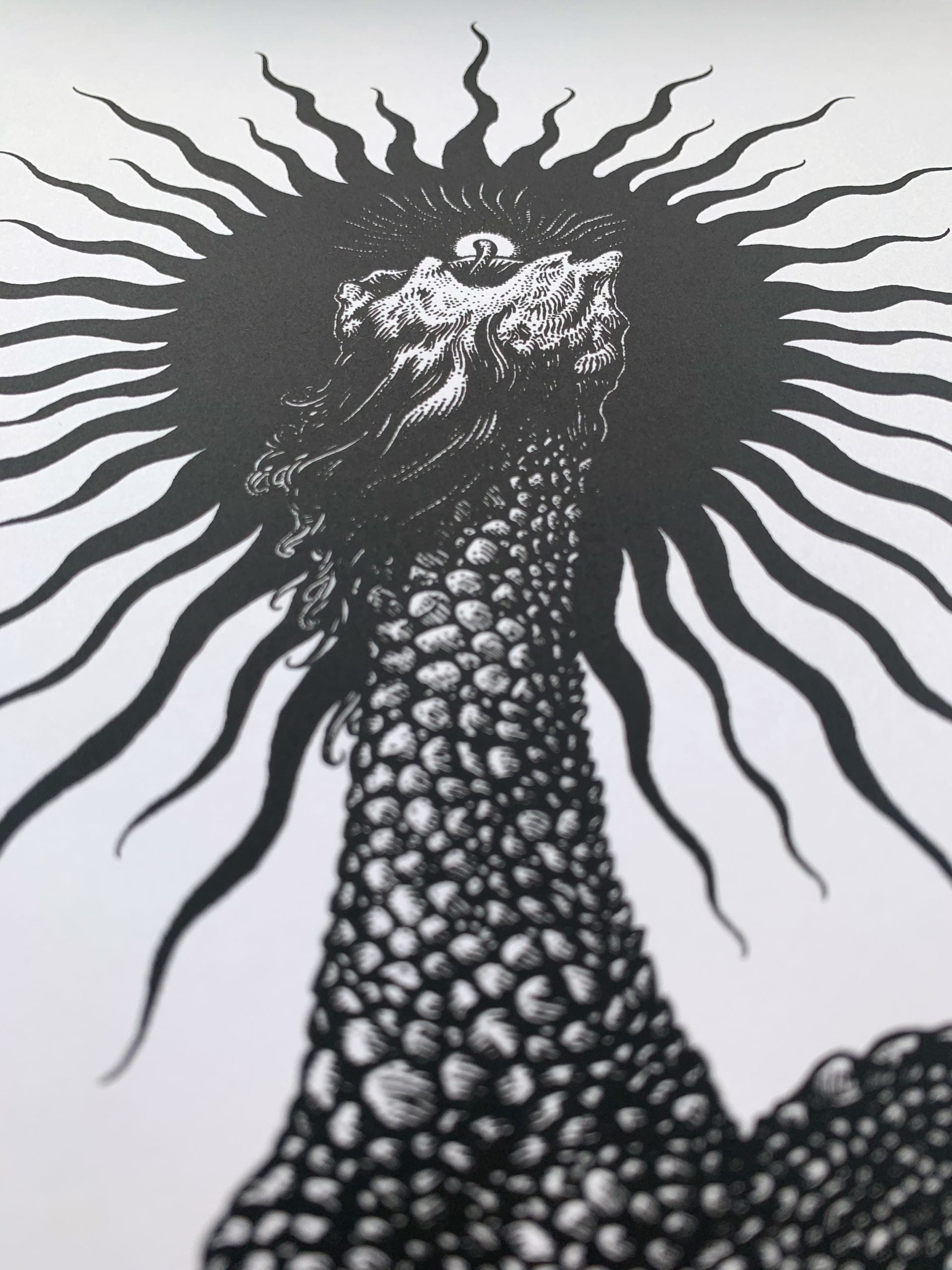 Predatory Glow B&W image 2